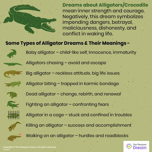 Meaning Of Alligators In Dreams