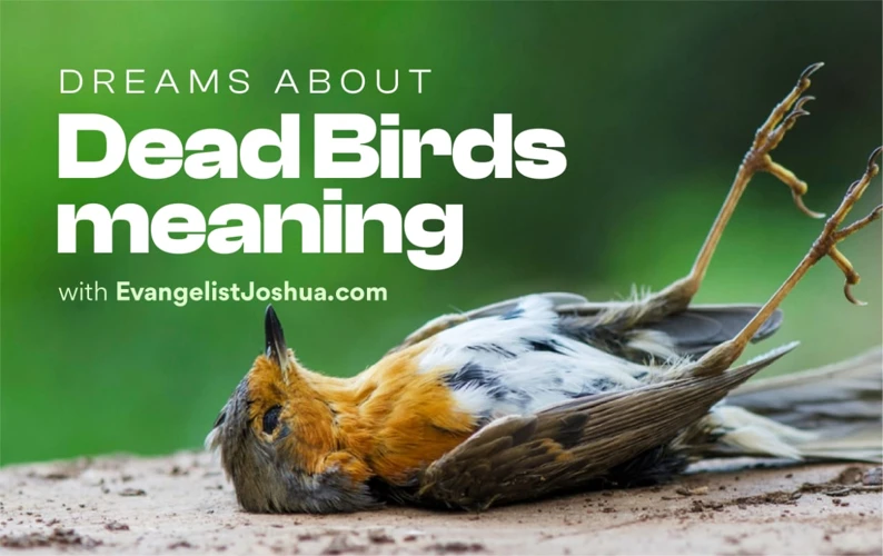 Meaning Of Dead Bird In Dreams