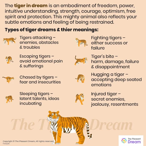 Meaning Of Dreams With Tigers