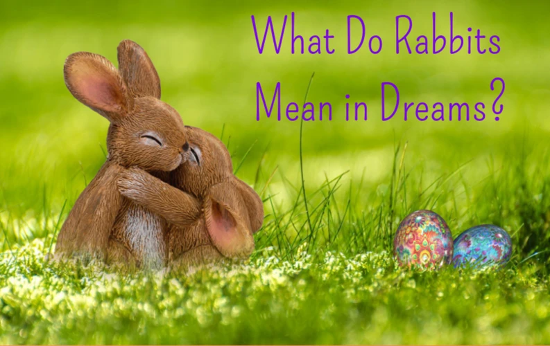 Meaning Of Rabbit Dreams