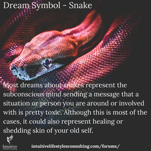 Meaning Of Snakes In Dreams