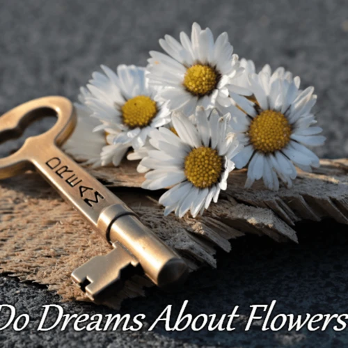 Meanings And Interpretations Of Dreaming About White Flowers