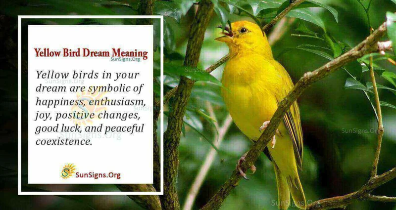Meanings Of A Yellow Bird In Dreams