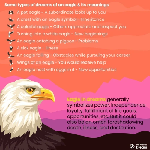 Meanings Of Dreaming About Bald Eagles