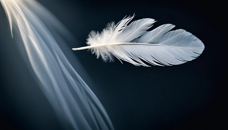 Meanings Of Dreaming Of White Feathers