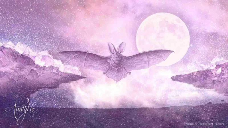 Meanings Of Dreams About Bats