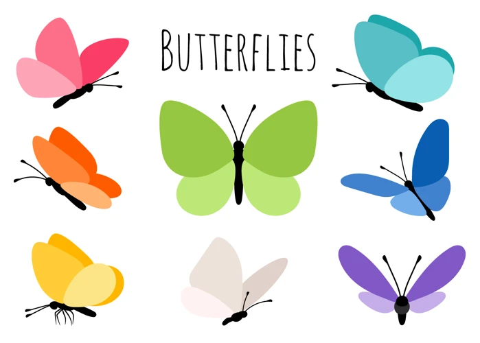Other Colors Of Butterflies And Their Meanings