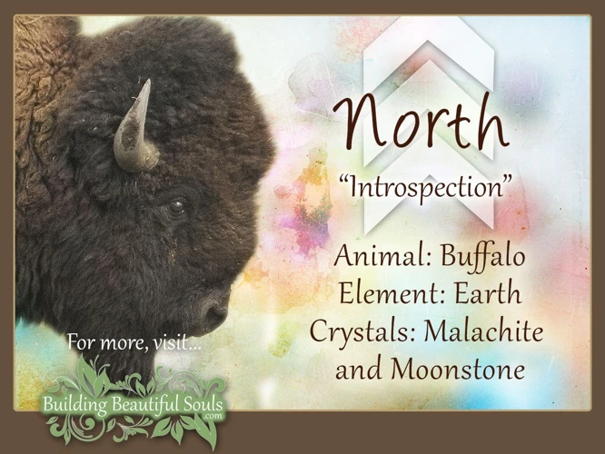 Other Symbolic Meanings Of Bison