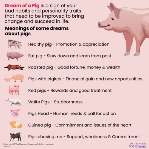 Pig Dream Meaning
