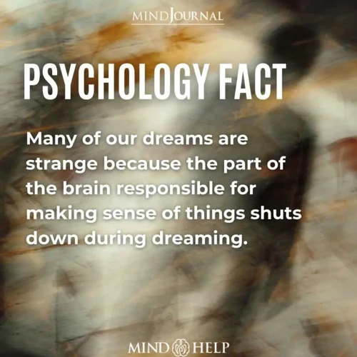 Possible Emotional Responses In Doppelganger Dreams