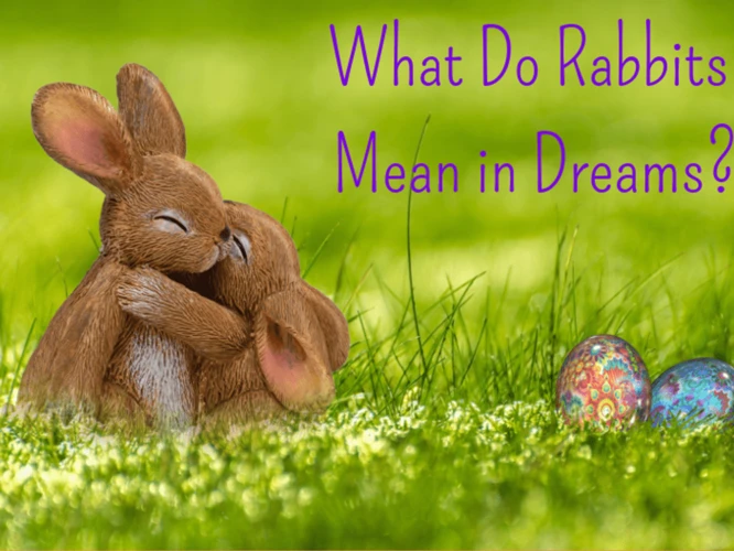Psychological Meaning Of Rabbit Dreams