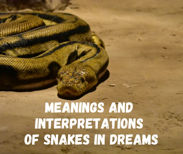 Snake Dreams In Different Cultures