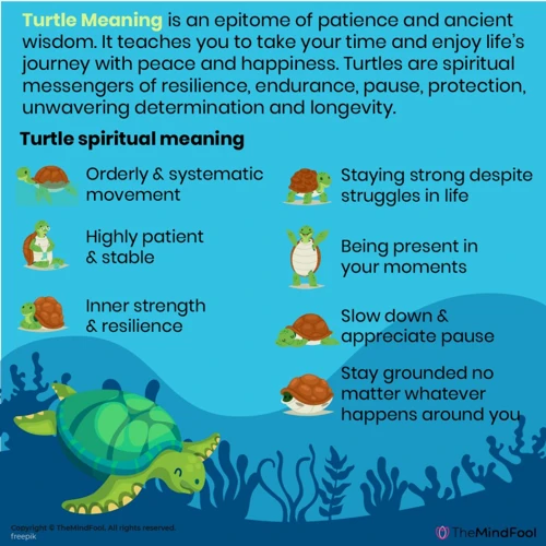 Snapping Turtle Dream Interpretations In Different Cultures