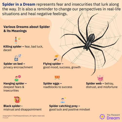 Spider Symbolism