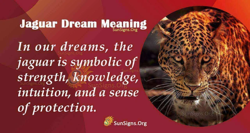 Symbolic Interpretations Of Dreaming About A Black Jaguar