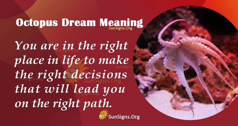 Symbolic Meanings Of Octopus In Dreams