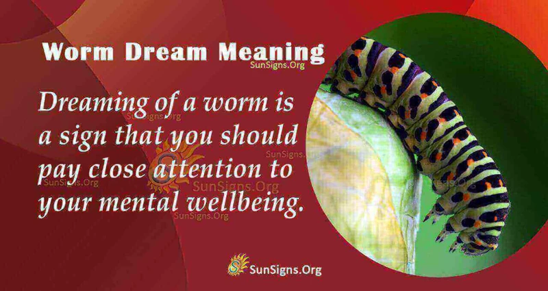 Symbolism Of Dreaming Of Worms