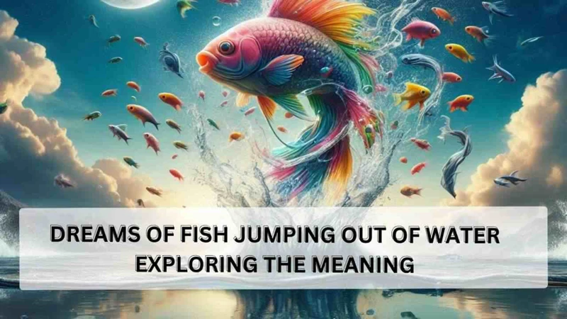 Symbolism Of Fish Out Of Water