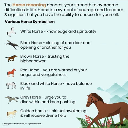 Symbolism Of Horses In The Bible