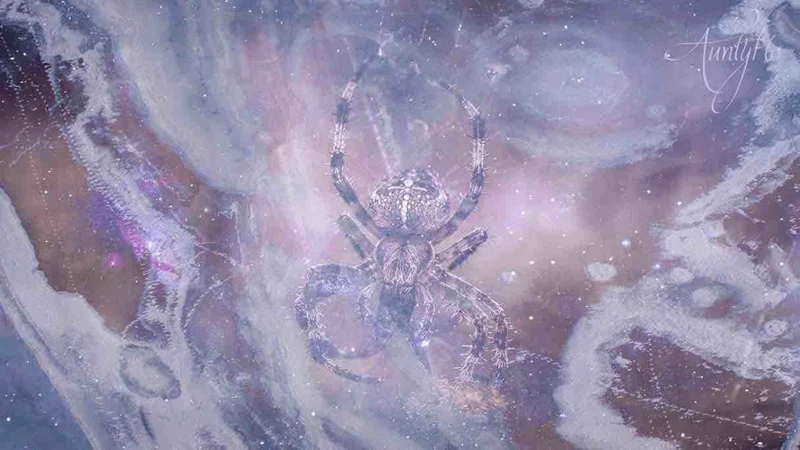 Symbolism Of Killing Spiders In Dreams