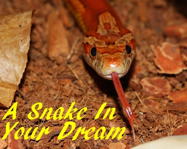Symbolism Of Orange Snakes
