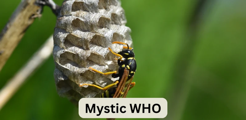 Symbolism Of Wasps In Biblical Context