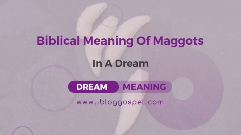 Symbols Of Maggots In Biblical Dreams