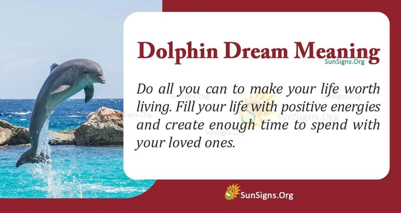 The Emotional Significance Of Dolphin Dreams