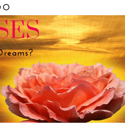 The Meanings Of Dreaming Of Roses
