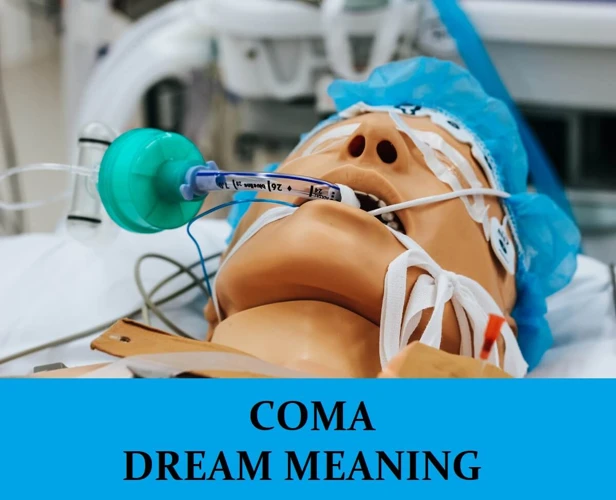 The Significance Of Coma Dreams