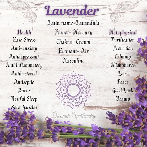 The Significance Of Lavender