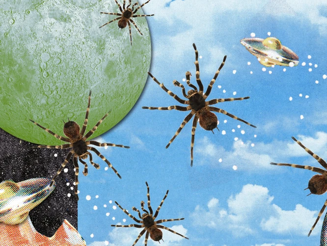 The Significance Of Spiders In Dreams
