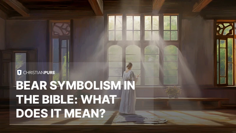 The Symbolism Of Bear In The Bible