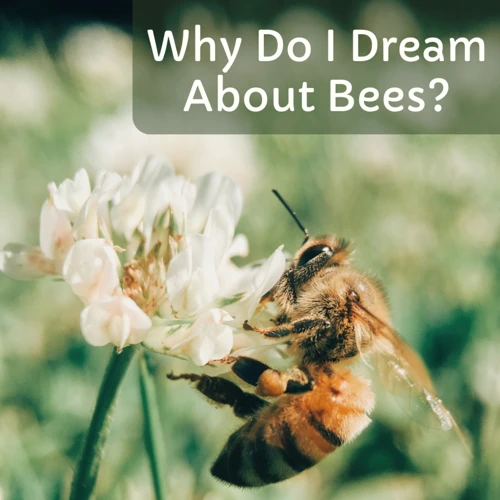 The Symbolism Of Bees In Dreams