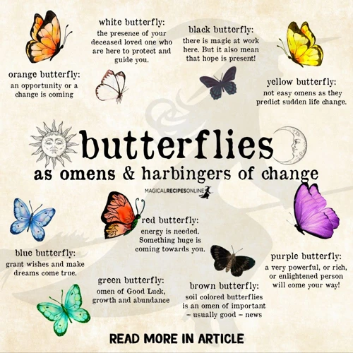 The Symbolism Of Butterflies