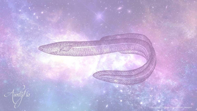 The Symbolism Of Eels