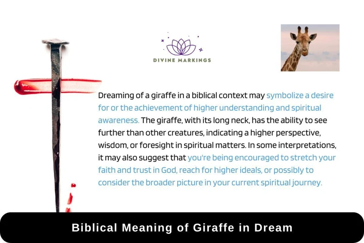 The Symbolism Of Giraffes