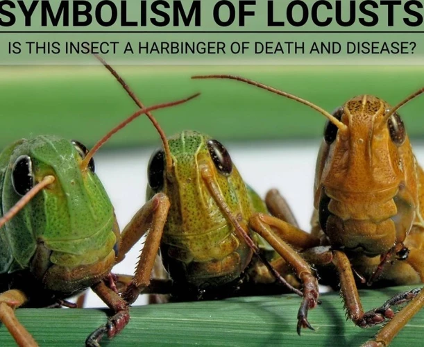The Symbolism Of Locusts