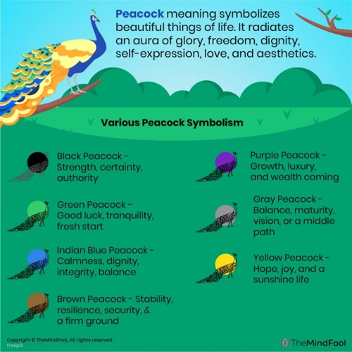 The Symbolism Of Peacocks In The Bible