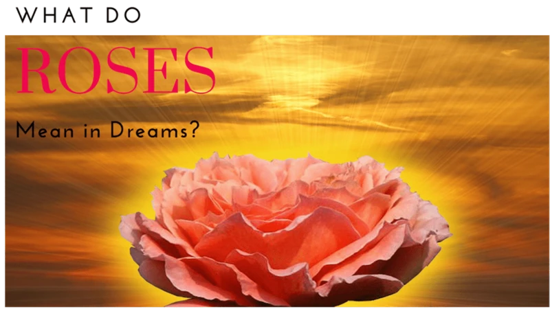 The Symbolism Of Roses In Dreams