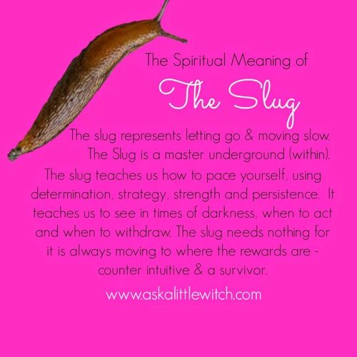 The Symbolism Of Slugs