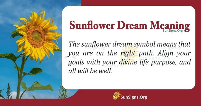 The Symbolism Of Sunflowers