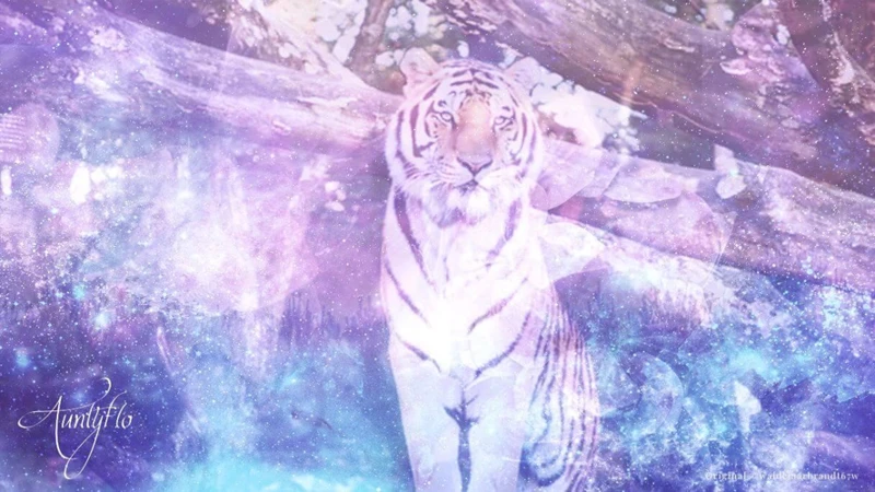 Tigers In Dreams