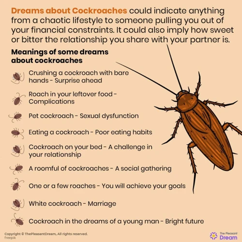 Understanding Cockroach Dreams