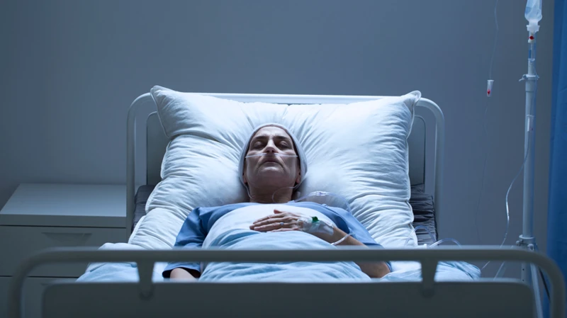 Understanding Coma Dreams