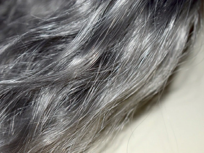 Understanding Gray Hair