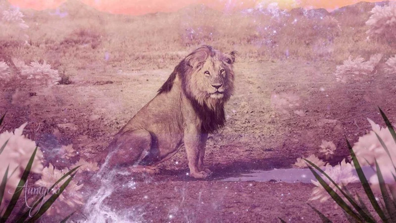 Understanding Lioness As A Dream Symbol