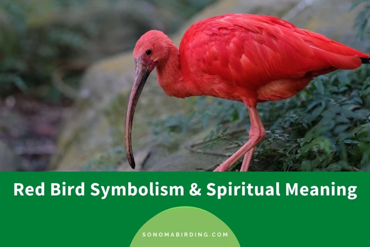 Understanding The Red Bird Symbol