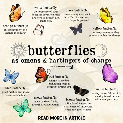 Understanding The Symbolism Of Butterflies