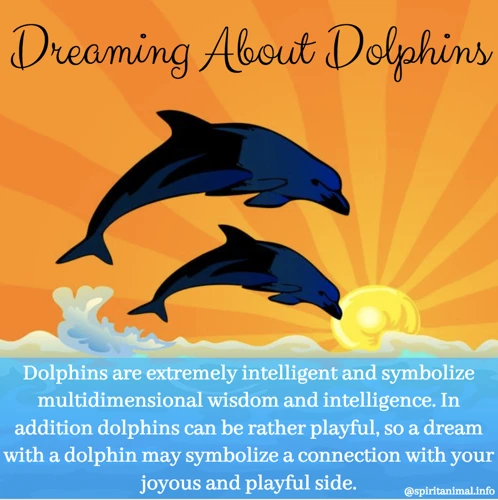 What Do Dolphins Symbolize?